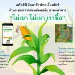 เครือซีพี ยึดมั่นตามแนวทาง “ไม่เขา ไม่เผา เราซื้อ” จัดหาข้าวโพดเลี้ยงสัตว์ผ่านระบบตรวจสอบย้อนกลับ 100% ปราศจากการรุกป่า 