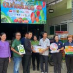 พาณิชย์ ลุยรับซื้อ มะม่วงแฟนซี ลำพูน-เชียงใหม่ 1,000 ตัน ดันราคา
