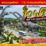 สวนนงนุชพัทยาจัดโปรเปิดเทอมเดือนมิถุนายน ซื้อ 10 ฟรี 2  