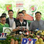 พาณิชย์ ลุยรับซื้อ มะม่วงแฟนซี ลำพูน-เชียงใหม่ 1,000 ตัน ดันราคา