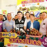 กรมการค้าภายในใช้ “อมก๋อย โมเดล” ประสานผู้ประกอบการซื้อมังคุด 8,500 ตัน 
