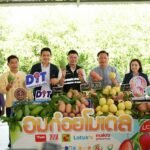 “พาณิชย์”ใช้ “อมก๋อย โมเดล” นำผู้ประกอบการซื้อมะม่วงแฟนซี ลำไย ลิ้นจี่ มั่นใจดันราคาดีตั้งแต่ต้นฤดู 