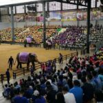 สวนนงนุชพัทยาจัดโปรเปิดเทอมเดือนมิถุนายน ซื้อ 10 ฟรี 2  
