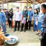 "เงินเหรียญ โสมนาม" เกษตรกรดีเด่นแห่งชาติ สาขาอาชีพปลูกหม่อนเลี้ยงไหม ประจำปี 2566