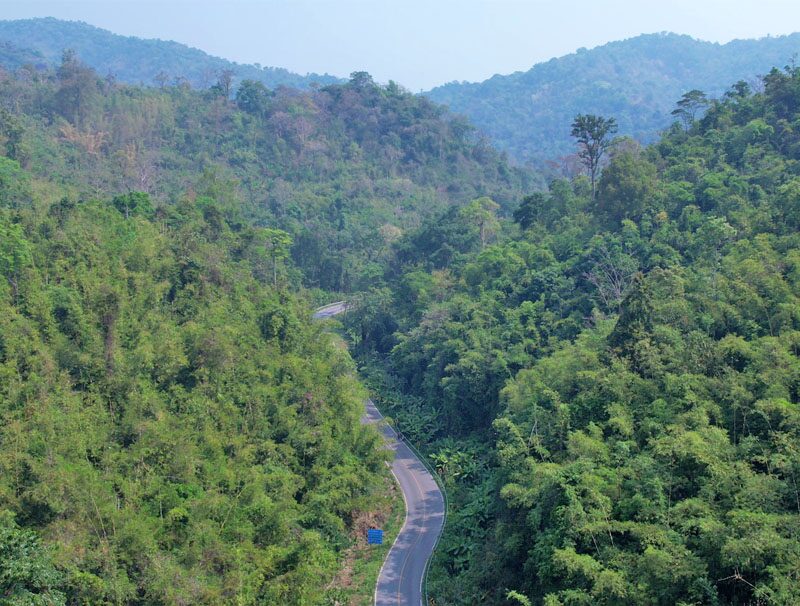 สดจากเยาวชน: กองไฟแสนอร่อย