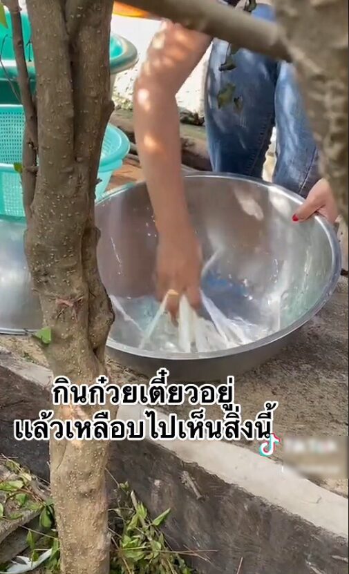 ภาพประกอบ