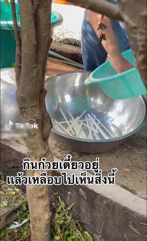ภาพประกอบ