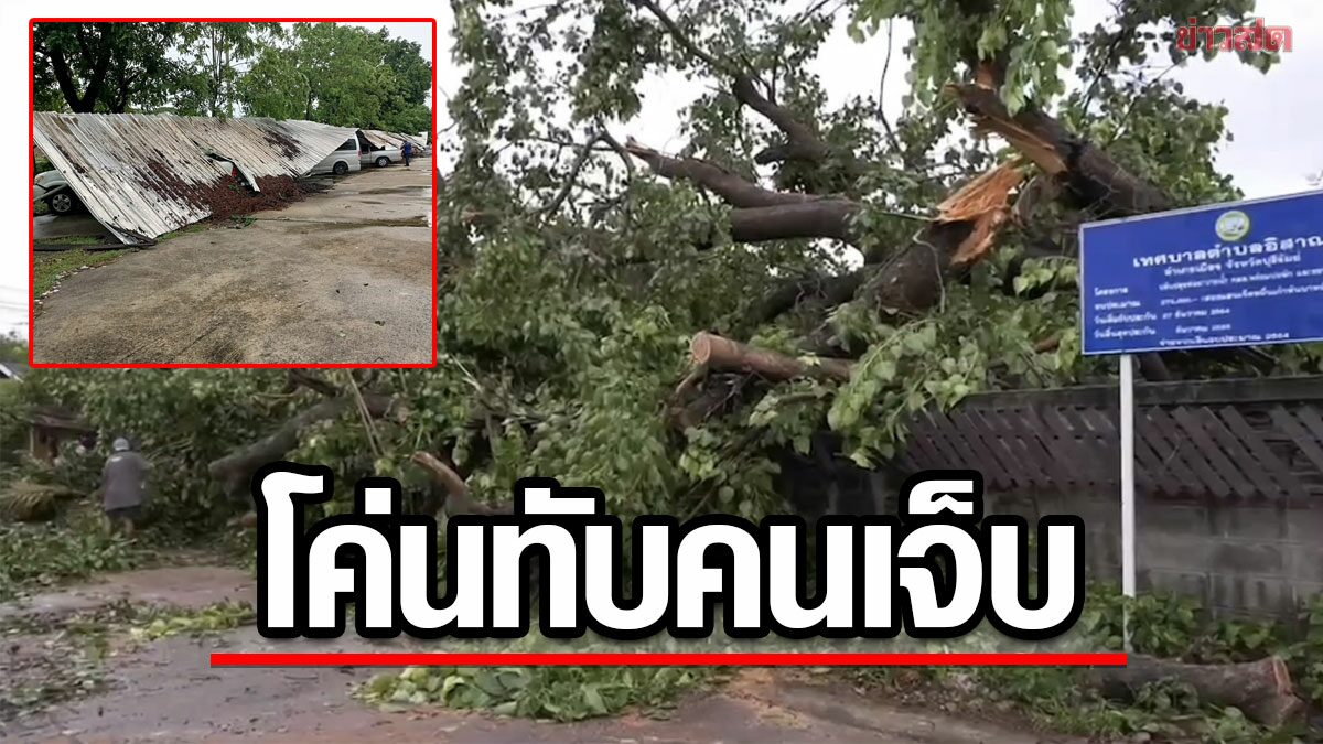 ฝนถล่มบุรีรัมย์ ป้ายล้ม ไฟฟ้าดับ พายุซัดต้นโพธิ์ 100 ปี ทับขาชาวบ้าน