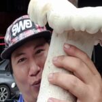 ฮือฮา ชาวบ้านตื่นเห็ดยักษ์ ตะลึงขนาดใหญ่เท่าเด็กเล็ก ยันกินได้-แจกเพื่อนบ้านปรุงเมนูเด็ด