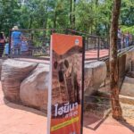 เปิดบ้านหลังใหม่ 'ไฮยีน่าลายจุด' ชวนชมบน SKY WALK เผชิญหน้านักล่าจอมเจ้าเล่ห์