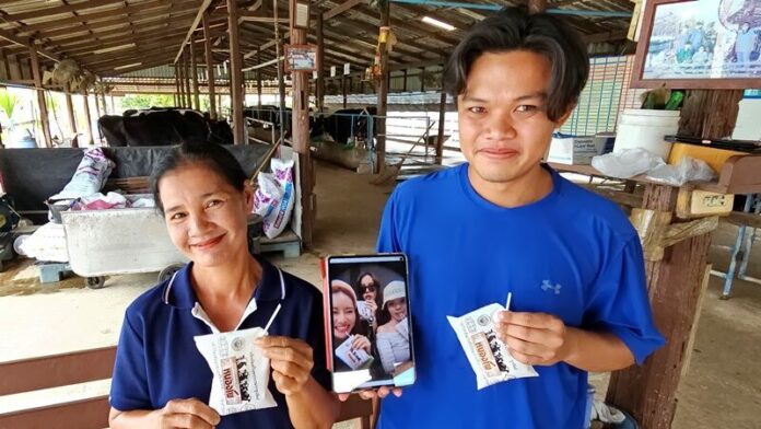 นมดี