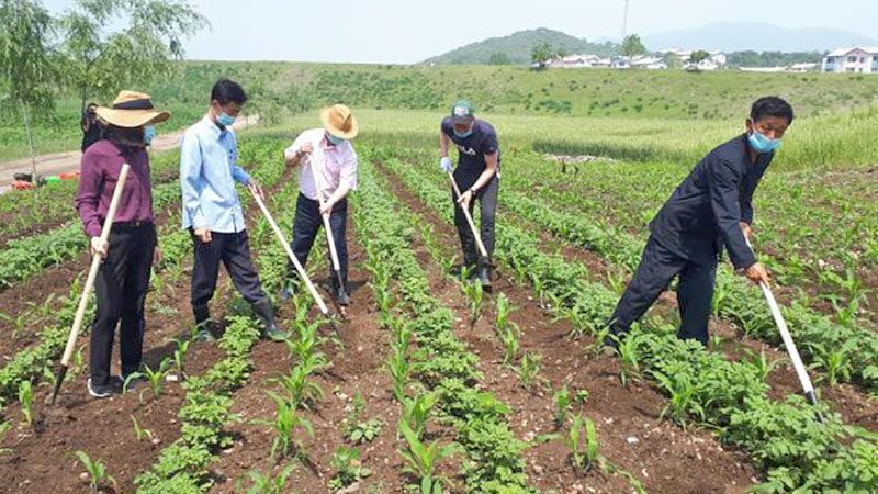 คิมส่งข้าราชการ-นักศึกษา