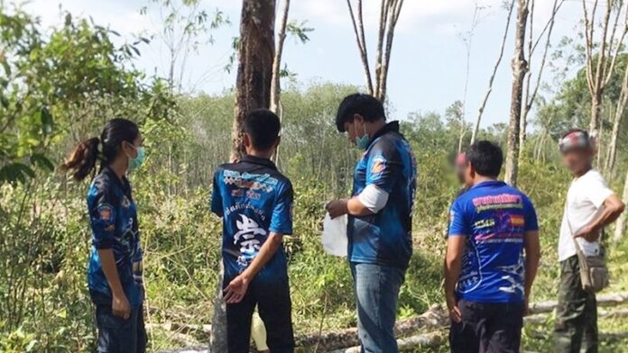 ล้มทับ