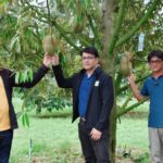 วช. - มธ. นำนวัตกรรม Smart Farmer ฟื้นฟูสวนทุเรียนปราจีนบุรี สำเร็จ!!