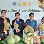 วช. - มธ. นำนวัตกรรม Smart Farmer ฟื้นฟูสวนทุเรียนปราจีนบุรี สำเร็จ!!