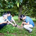 วช. - มธ. นำนวัตกรรม Smart Farmer ฟื้นฟูสวนทุเรียนปราจีนบุรี สำเร็จ!!