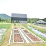 กรมน้ำฯ จัดเต็ม! ปรับปรุงระบบท่อจ่ายน้ำ ด้วยพลังงานแสงอาทิตย์
