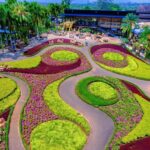 สวนนงนุช จัดโปรโมชั่นผู้สูงอายุ บัตรผ่านประตูลด 50% ทุกวัน