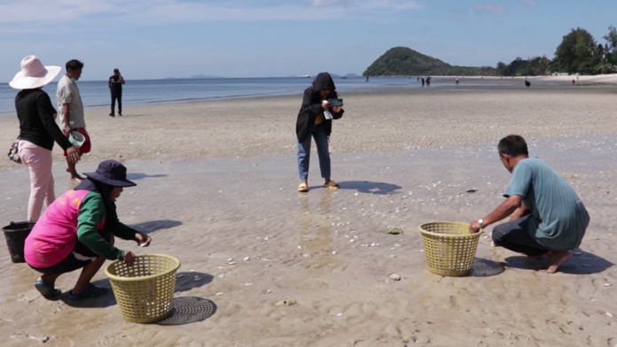 หาดทุ่งวัวแล่น