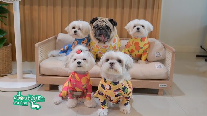 บุกบ้าน