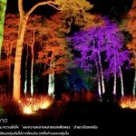 บูมท่องเที่ยว งาน VIJITR @CHIANGMAI สีสันแห่งเส้นแสง น้ำพุร้อนสันกำแพง  