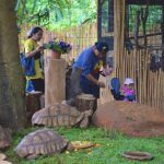 สวนสัตว์โคราช เปิดส่วนแสดง Mini Zoo เอาใจน้องๆ หนูๆ เสริมประสบการณ์ รับหยุดยาว 