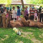 สวนสัตว์โคราช เปิดส่วนแสดง Mini Zoo เอาใจน้องๆ หนูๆ เสริมประสบการณ์ รับหยุดยาว 