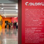 COLOR UP : เปิดโลกสีสันผ่านการประมูลผลงานศิลปะ มาเติมสีสันให้กับชีวิต