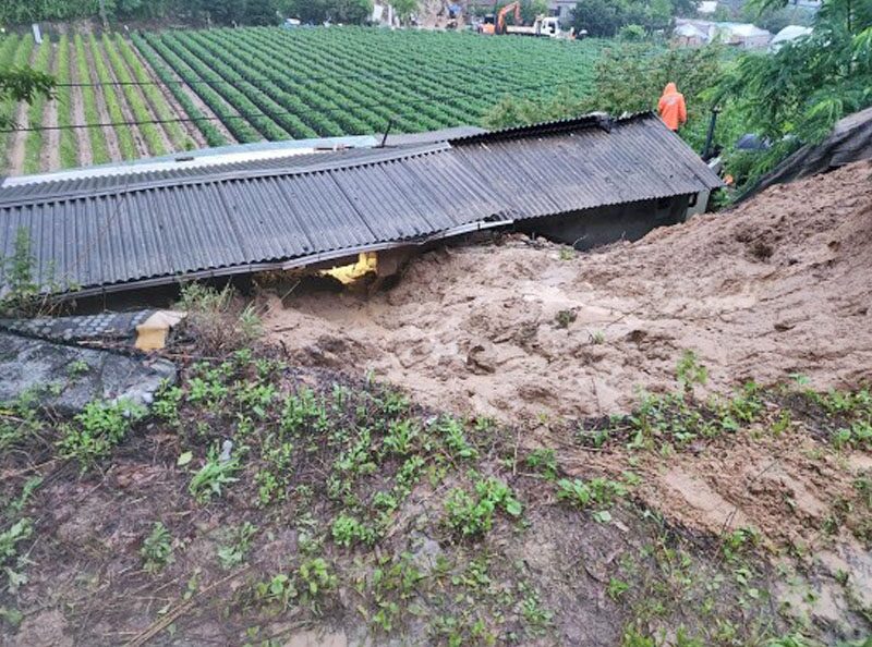 ฝนกระหน่ำเกาหลีใต้