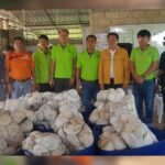 สตก.จ.เชียงราย - บมจ.ศรีตรังฯ ปลื้ม! ประเดิมจับคู่ค้ายางพาราครั้งแรกภาคเหนือ ผลตอบรับดี ยกระดับคุณภาพ – ชาวสวนรายได้เพิ่ม