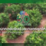 "นวัตกรรมปาล์มน้ำมัน"ช่วยลดต้นทุน เพิ่มการผลิตอย่างยั่งยืน