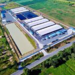“เนตรบุญฟาร์ม” ใช้ Smart Farm ยกระดับการเลี้ยงหมู
