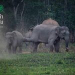 กระทรวงทรัพยากรฯ และเครือซีพี ชวนสะท้อนคุณค่าธรรมชาติผ่านภาพถ่าย