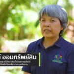 "นวัตกรรมปาล์มน้ำมัน"ช่วยลดต้นทุน เพิ่มการผลิตอย่างยั่งยืน