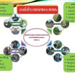 ศพก. จับมือแปลงใหญ่เพิ่มทักษะเกษตรกรสู่ผู้ประกอบการ