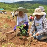 เครือซีพี ร้อยเรียงความดี ร้อย รักษ์ โลก ผนึกภาครัฐ-ชุมชน