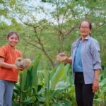 ความลับที่สร้างความสมบูรณ์ให้กับพืชและสิ่งแวดล้อม 