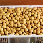แชร์ไอเดียมือหนึ่งส่งออกผลไม้ "จีน-อินโด" ตลาดใหญ่กำลังซื้อมหาศาล