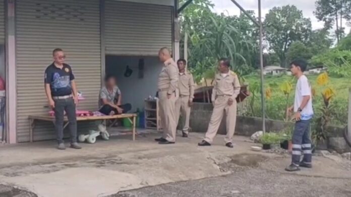โผล่