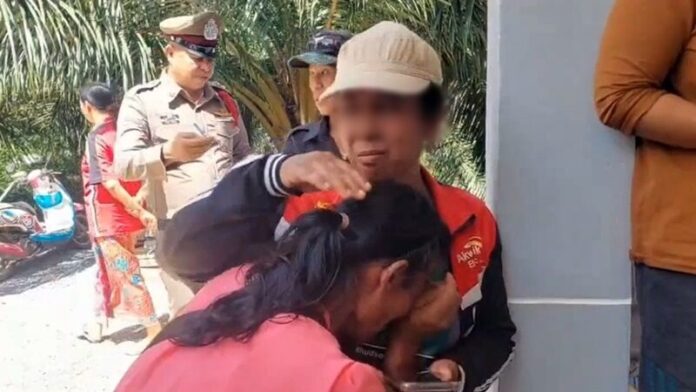 เมีย