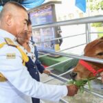 กองทัพไทย จัดกิจกรรมเฉลิมพระเกียรติสมเด็จพระนางเจ้าสิริกิติ์ พระบรมราชินีนาถ
