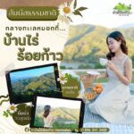 คิดถึงทะเลหมอก บ้านไร่ร้อยก้าว Homestay อีกหนึ่งที่เที่ยวที่มีอากาศดีตลอดปี