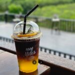 "ไร่ชา 1000 ไมล์" จุดเช็คอินแห่งใหม่ ไร่ชา-คาเฟ่ กลางหุบเขา ณ กงหรา พัทลุง