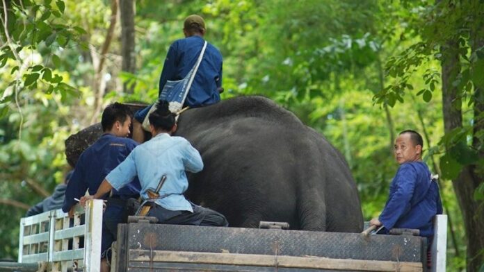 ร่วมมือดี