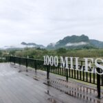 "ไร่ชา 1000 ไมล์" จุดเช็คอินแห่งใหม่ ไร่ชา-คาเฟ่ กลางหุบเขา ณ กงหรา พัทลุง