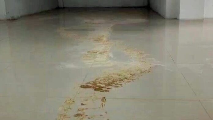 รอย