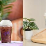 ร้านภูฟ้าไอคอนสยามปรับโฉมใหม่ เปิด 2 เมนู ต้อนรับวันแม่แห่งชาติ
