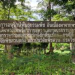 “กรมวิชาการเกษตร” สืบสานปณิธาน อนุรักษ์พันธุ์พืชหายาก