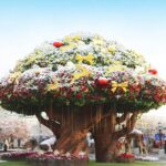 5 ทัวร์เกาหลี สุดฮิตตลอดกาลจาก Travelzeed