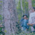 BEDO ร่วมมือ บจ.มีวนา ประเมินมูลค่าระบบนิเวศของป่าในพื้นที่อนุรักษ์